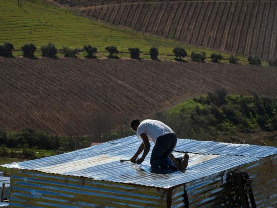 In South Africa, vineyards are the battle ground in a tense racial dispute