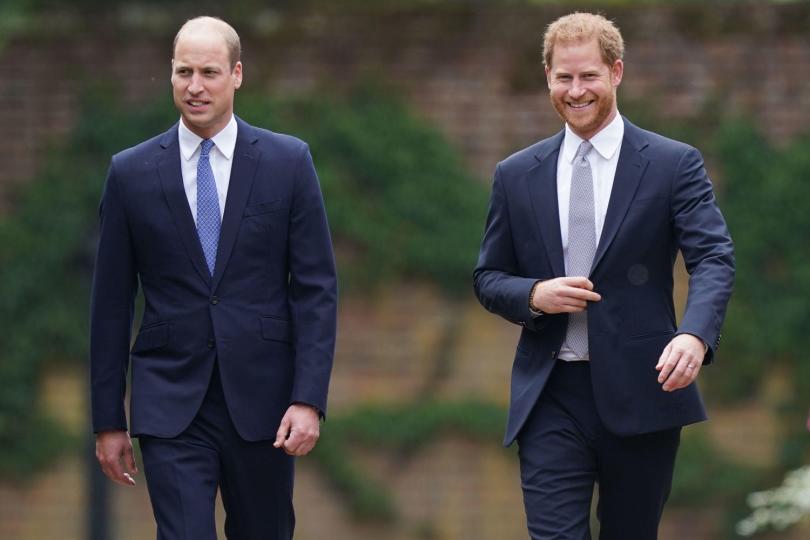 The Duke of Cambridge and Duke of Sussex