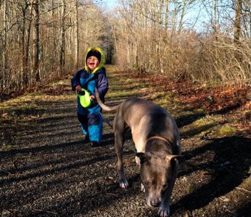 Catskill Region woodland photos taken by photographer Chris Heim