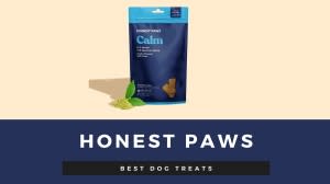 honest-paws