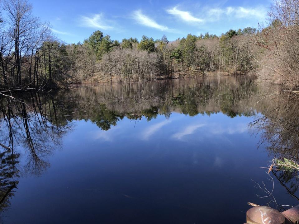 St. Moritz Pond Loop in West Quincy is a .7-mile loop trail near Milton that is popular for walking, hiking and birding. Saint Moritz Pond was created in the 1930s by damming up a stream for an annual winter festival.