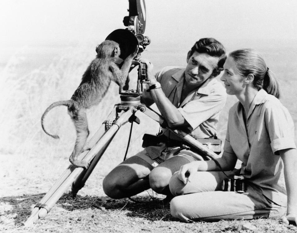 FILE - This Jan. 1974 file photo shows anthropologist Jane Goodall, right, with husband Hugo van lawick behind a camera. Goodall was named Thursday, May 20, 2021 as this year’s winner of the prestigious Templeton Prize, honoring individuals whose life’s work embodies a fusion of science and spirituality. (AP Photo)
