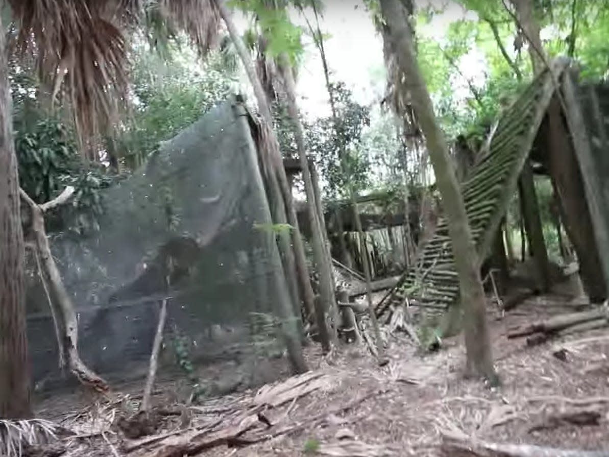 discovery island abandoned