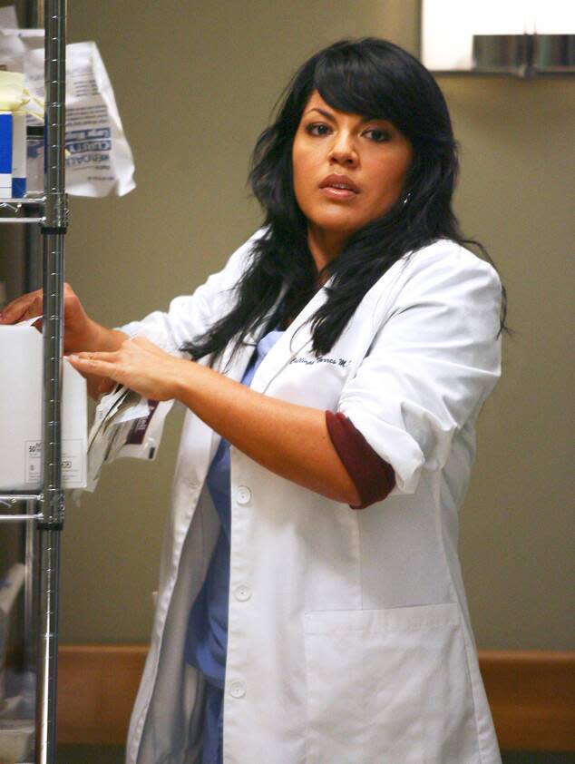 Sara Ramirez, Grey's Anatomy, Pop Culture's Hottest Doctors