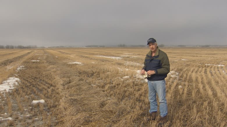 Farmers prepare to burn crops in Leduc County after fall harvest halted