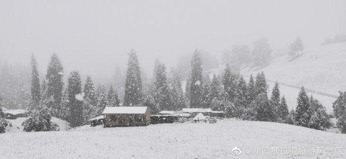 新疆大雪紛飛的景象，讓網友直呼有冤情。（翻攝新疆那拉提旅遊風景區微博）