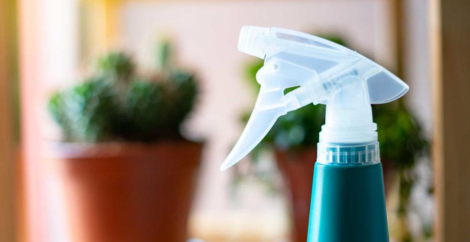 Green spray bottle in front of houseplants to support a guide on how to get rid of flying ants