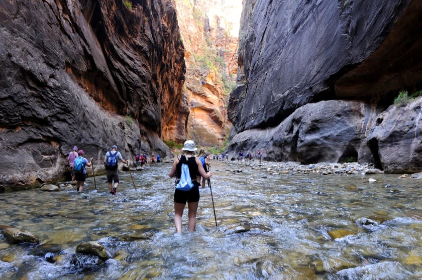 ZION NATIONAL PARK, UTAH AUGUST 5, 2019 -- The Virgin River snakes through The Narrows in Zion National Park. The Narrows is a popular hike in Zion National Park, featuring one of the world's best slot canyon hikes. (Marc Martin / Los Angeles Times)