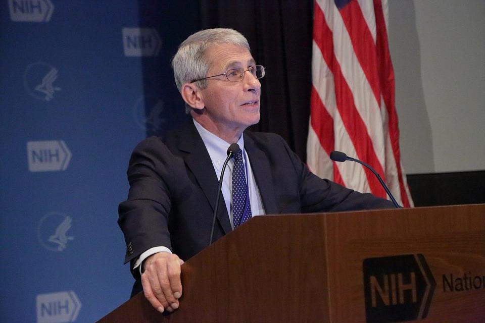 Anthony S Fauci, MD, Director, National Institute of Allergy and Infectious Diseases (NIAID). 