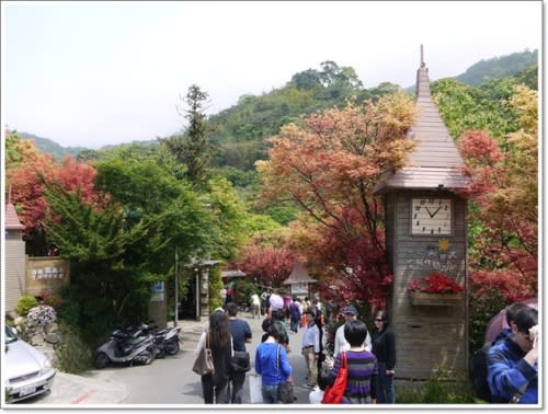 春天˙楓葉紅了~【台北奧萬大】賞楓好地方