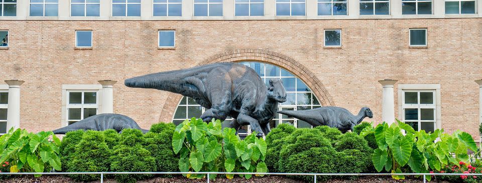 Discover something new at the Fernbank Museum of Natural History.