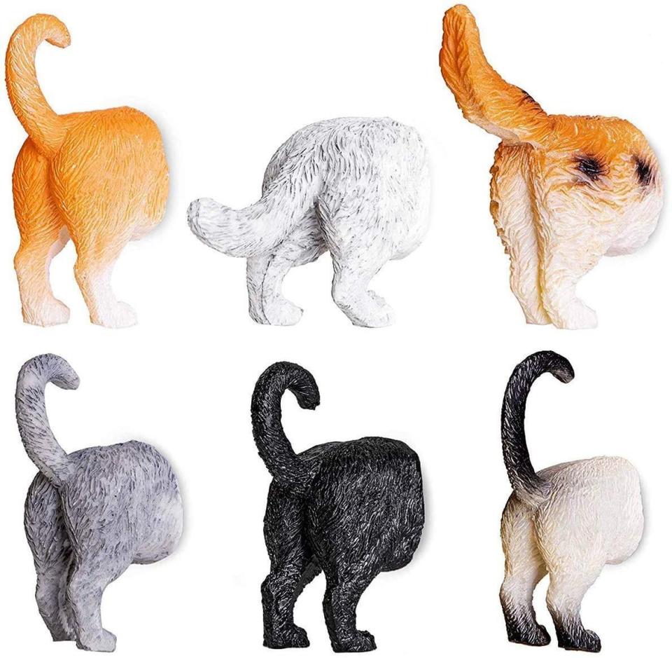8) WIMO Cat Butt Magnets