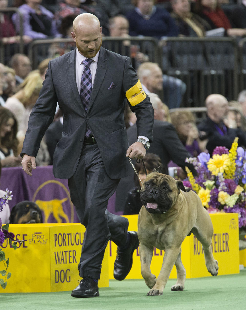 (AP Photo/Mary Altaffer)