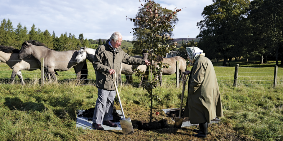 <span>El príncipe de Gales y su madre, la Reina Elizabeth II, plantan un árbol cerca de Craithie, Escocia, como parte de la iniciativa Dosel Verde de la reina. (Foto: Andrew Milligan/Getty)</span>