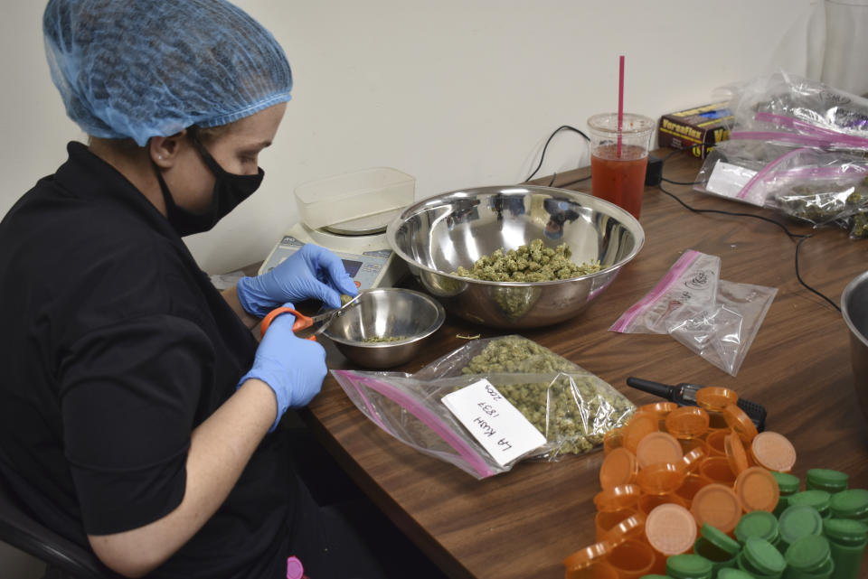 A worker is seen weighing marijuana for packaging at Montana Advanced Caregivers, a medical marijuana dispensary, Nov. 11, 2020, in Billings, Mont. A Gallup Poll released Nov. 9 indicated that 68% of Americans favor legalizing marijuana — double the approval rate in 2003. That wide margin was evident in the election, with marijuana measures passing with strong bipartisan support. (AP Photo/Matthew Brown)