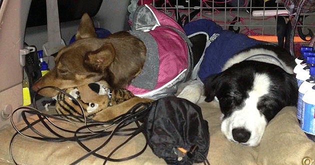 Blaze and his sister sleeping out while on a 4WD adventure.