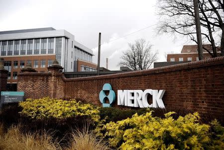 A view of the Merck & Co. campus in Linden, New Jersey March 9, 2009, after Merck & Co Inc said it would acquire Schering-Plough Corp in $41.1 billion deal, widening Merck's pipeline and diversifying its portfolio of medicines. REUTERS/Jeff Zelevansky