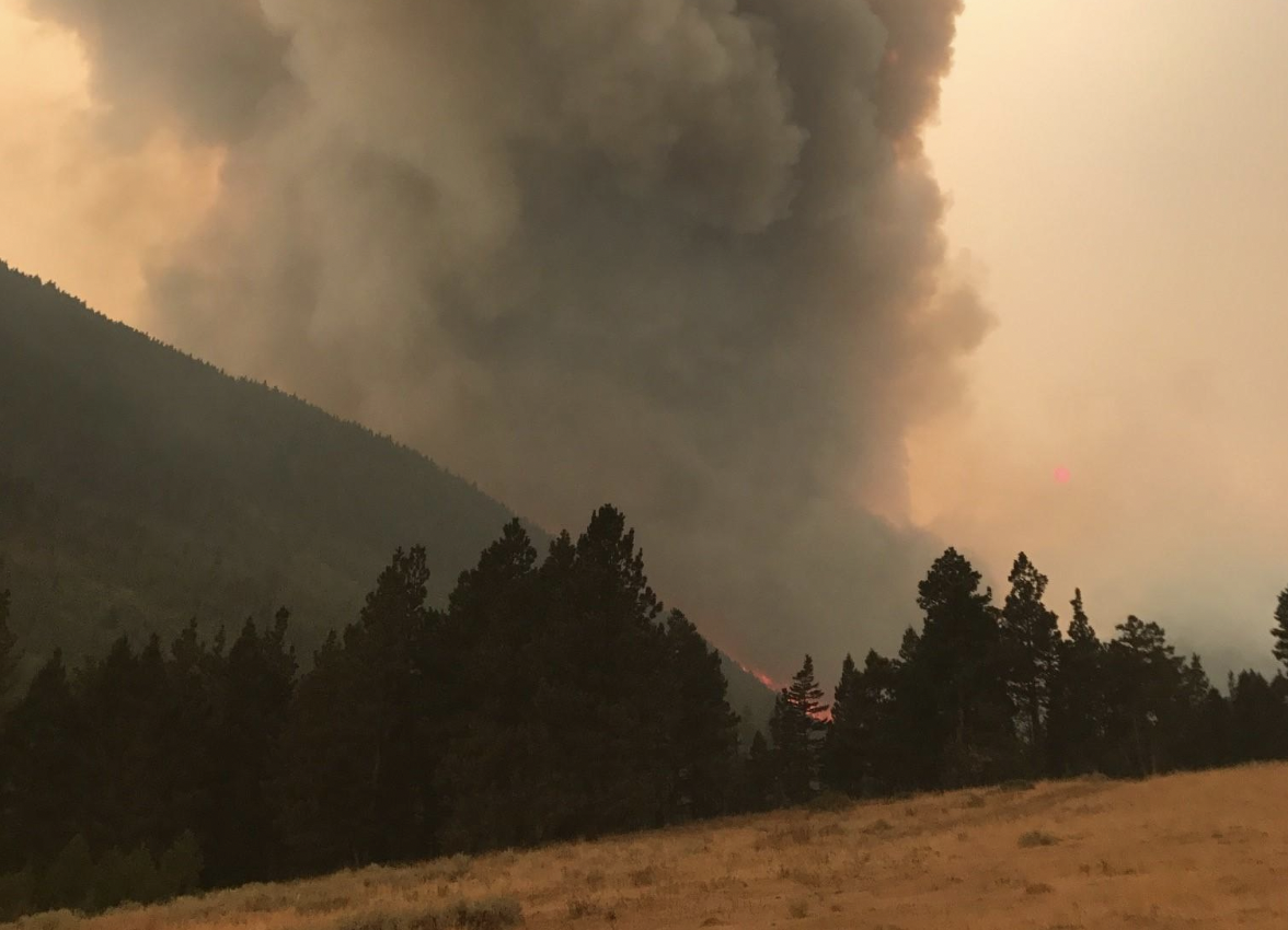 The Lodgepole Complex Fire