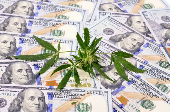 Marijuana on top of a pile of $100 bills.