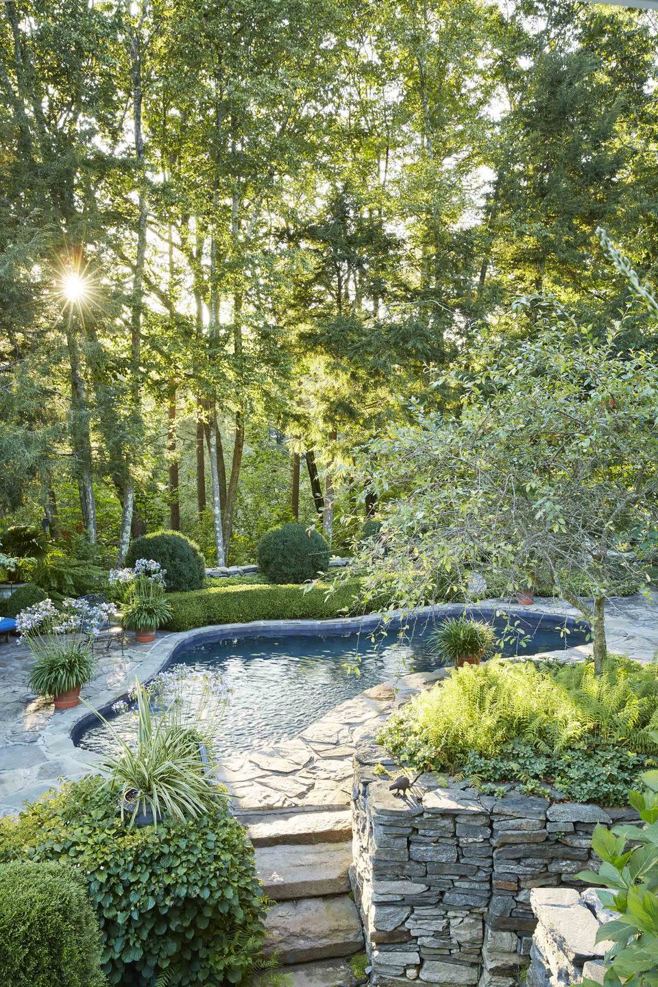 casting shade over the pool, which is located on the lower terrace off the rear of the house, are beech and hemlock trees