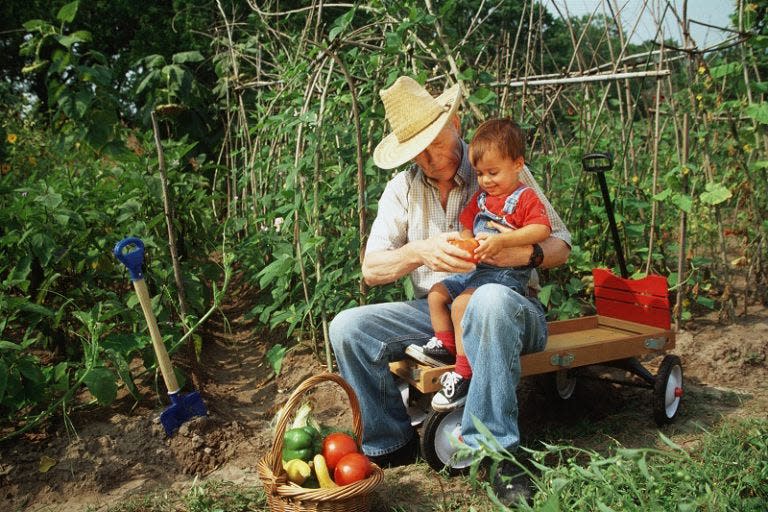 The older generation has a wealth of gardening knowledge to pass down.