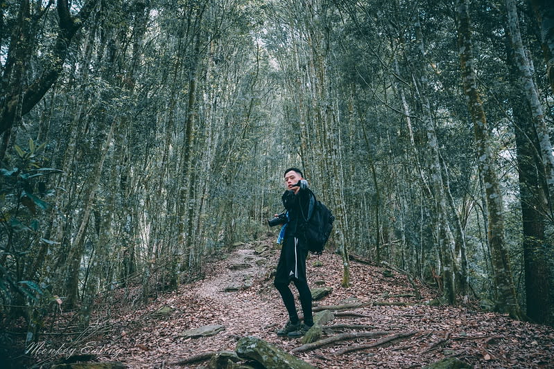 谷關七雄｜波津加山