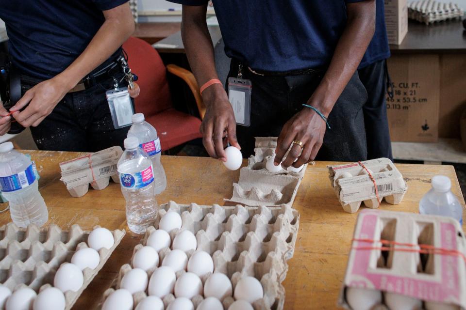 Volunteers and staff with the Feed Scarborough Food Bank separate eggs into different cartons at the charity’s Toronto warehouse on Aug. 3, 2023.