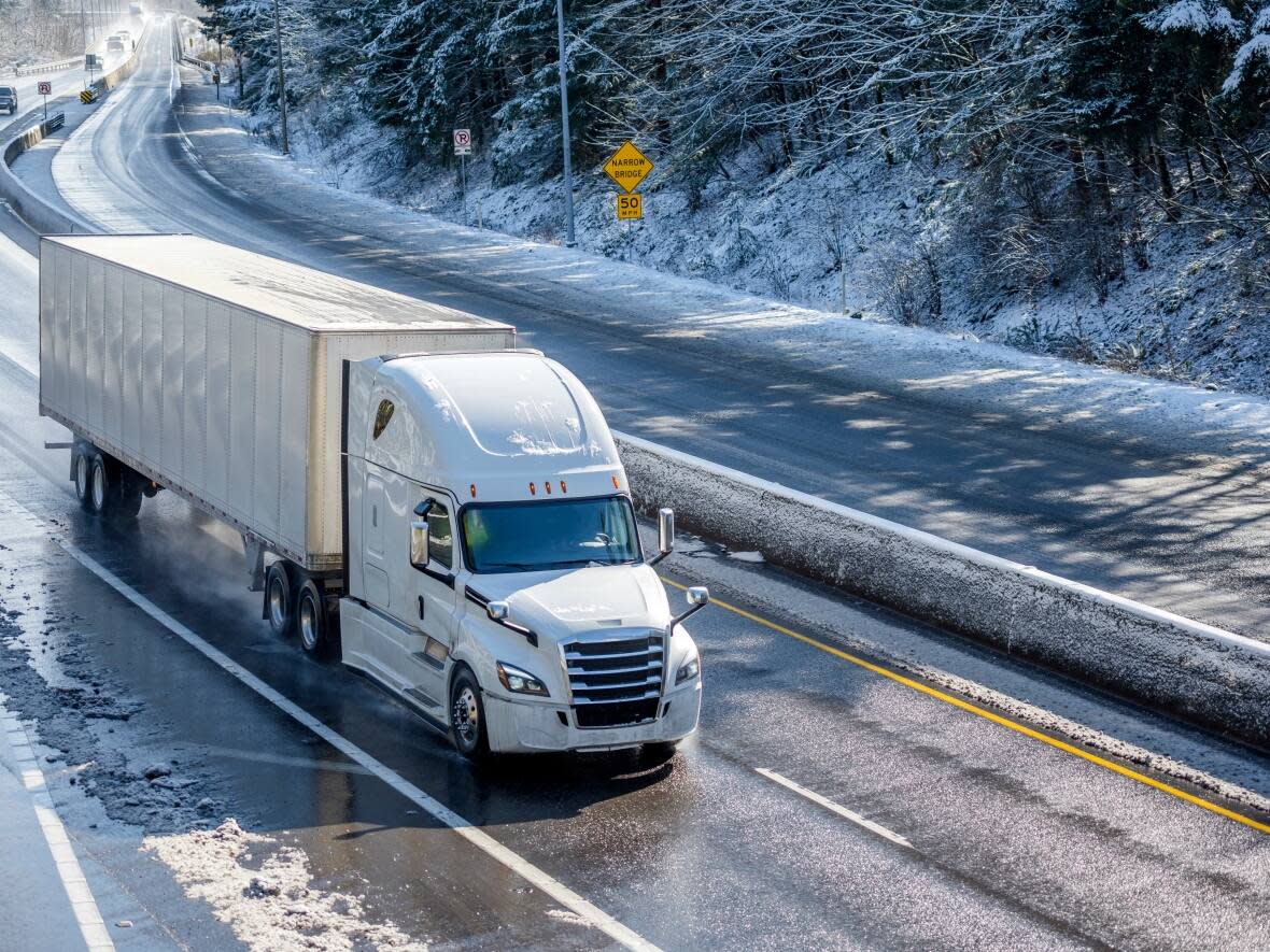 A truck driver with 12 years of experience on the road in the United Arab Emirates will get another shot at a Canadian work permit following a decision from a Federal Court judge. (Shutterstock - image credit)