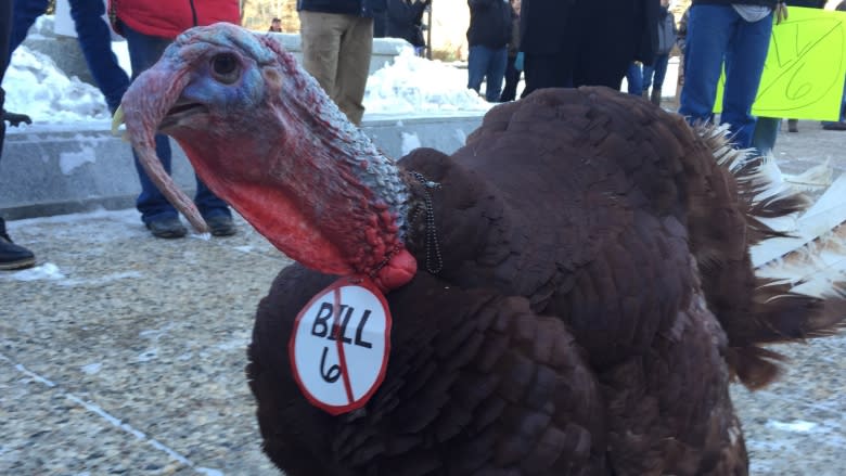 Farmers protest plan for mandatory WCB coverage at Alberta legislature