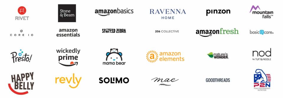 Examples of Amazon private label brands. (Screenshot/Amazon)