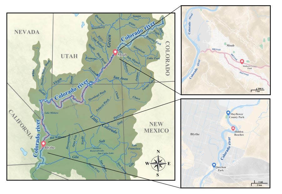 Map of spots along the Colorado river the flatworms were found.