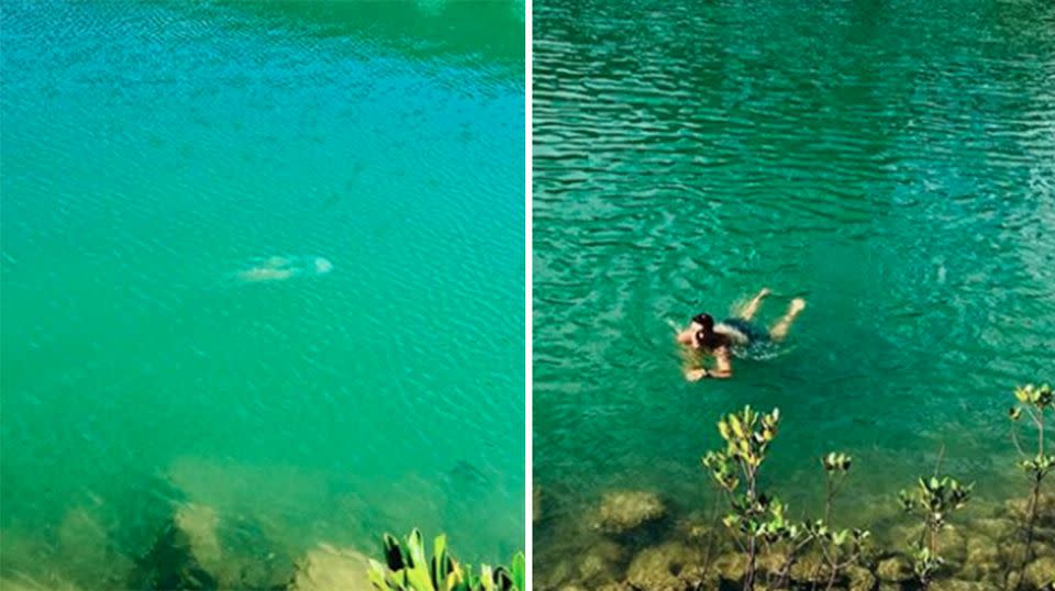 Mr Russell said it was still very dangerous to be swimming outside of netted enclosures without protective swimwear. Source: Instagram/Jay Greenwood