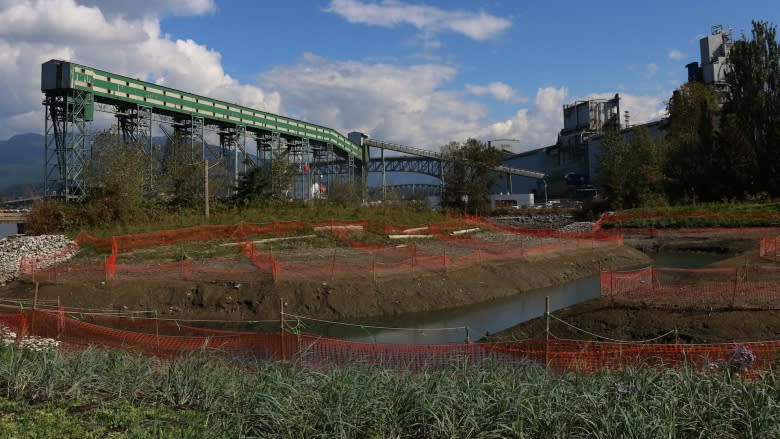 Vancouver's New Brighton Park salt marsh now complete