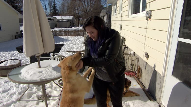 Volunteer group helps First Nations with stray dogs