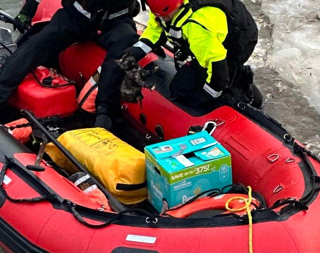 Three kittens were rescued from the Tuscarawas River ice Friday by Arrowhead Joint Fire District crews.