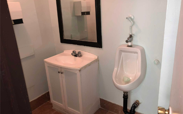 <p>Urinal? Check. (Zoocasa) </p>