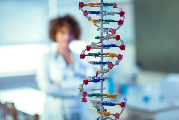 A model of a DNA strand, with a woman looking on in the background.