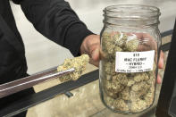 Ethan McKee, vice president of Mango Cannabis, displays marijuana flowers at a dispensary, Tuesday, Feb. 28, 2023, in Oklahoma City. Voters in Oklahoma, which already has a robust medical marijuana program, will decide on Tuesday, March 7, whether to legalize cannabis for adults over the age of 21. (AP Photo/Sean Murphy)