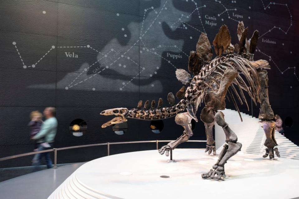 Stegosaurus in London