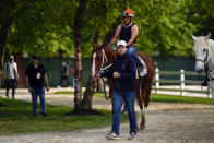 Assistant trainer Gustavo Delgado Jr. walks Kentucky Derby winner Mage after a workout ahead of the 148th running of the Preakness Stakes horse race at Pimlico Race Course, Wednesday, May 17, 2023, in Baltimore. (AP Photo/Julio Cortez)