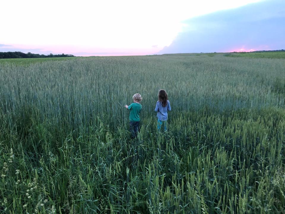 The author's children playing in a field in Illinois