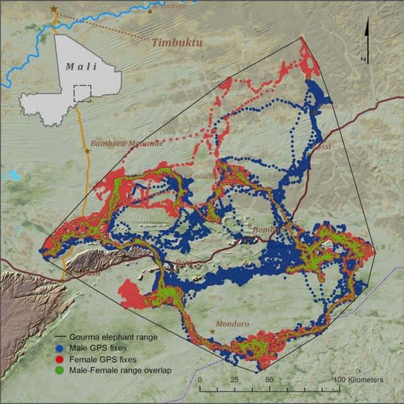 Map showing the range of the Gourma elephant. The ranges of male and female elephants overlapped by only 24 percent.