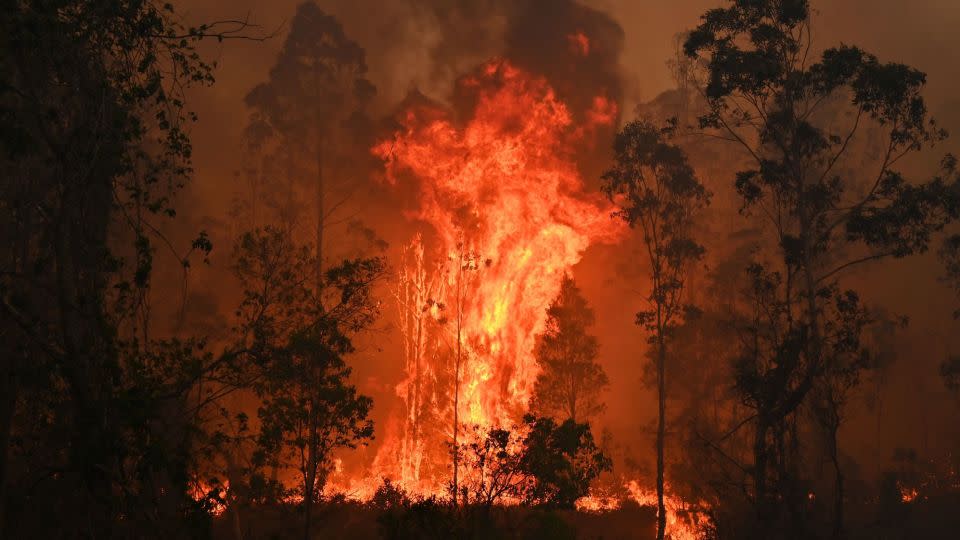 A fire rages in Bobin, 350 km north of Sydney, on November 9, 2019, during Australia's catastrophic Black Summer fire season.  - Peter Parks/AFP/Getty Images