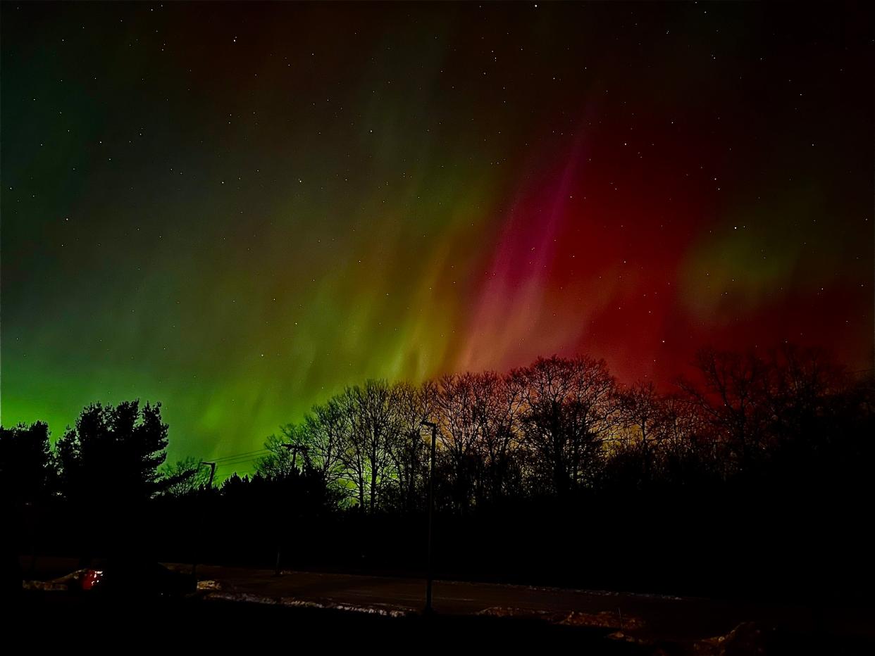 Auroras are seen above forrest trees in Gaylor. They are green and red