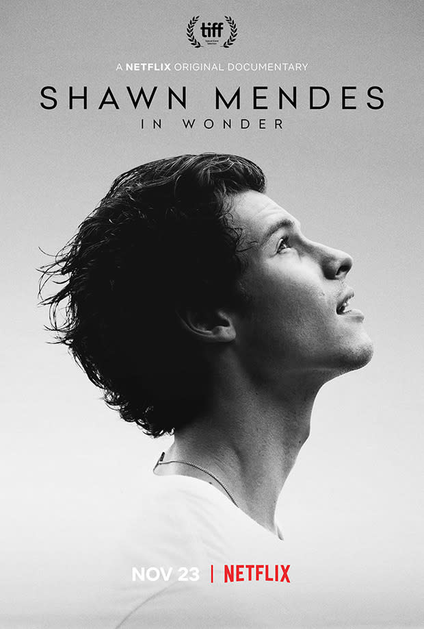 Shawn Mendes Netflix Documentary