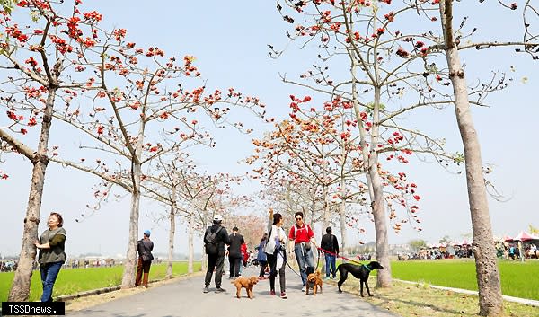 南市農業局鼓勵民眾持農遊券到臺南來體驗農業旅遊，搭配花季出遊，賞花吃農家餐。（記者李嘉祥攝）