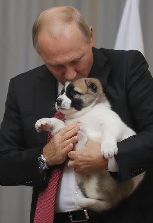 Russian President Vladimir Putin kisses a Turkmen shepherd dog, locally known as Alabai, presented by Turkmenistan's President Gurbanguly Berdimuhamedov during a meeting in Sochi, Russia October 11, 2017. REUTERS/Maxim Shemetov