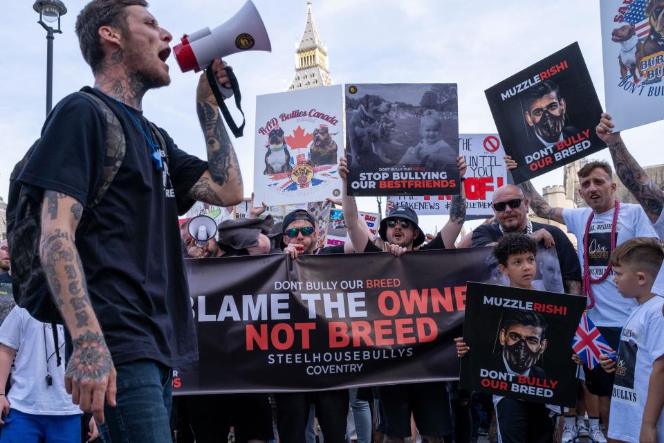 A demonstration is held in Central London calling for the XL Bull breed of dog not to be band by the UK Government.