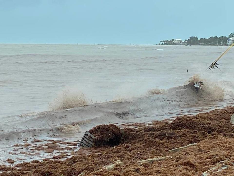 Storm surge washes up sargassum weed and debris, including a lobster trap, on to Sea Oats Beach on Lower Matecumbe Key in the Florida Keys Monday, Nov. 9, 2020.