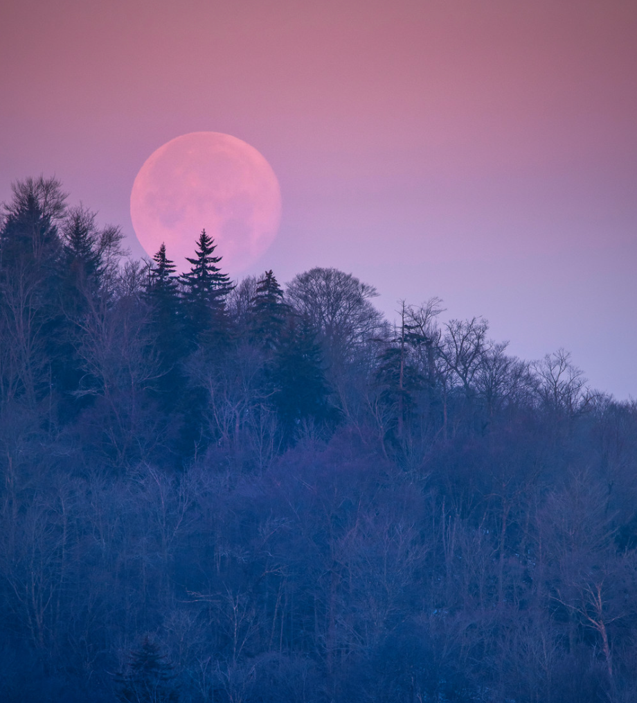 Moonset above Moose Lake, NY.